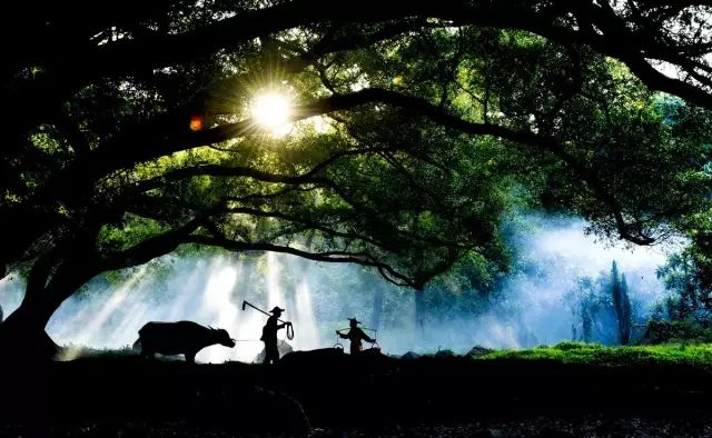 这些网上疯传的照片都是骗人的,你该知道的网络疯传的假照片