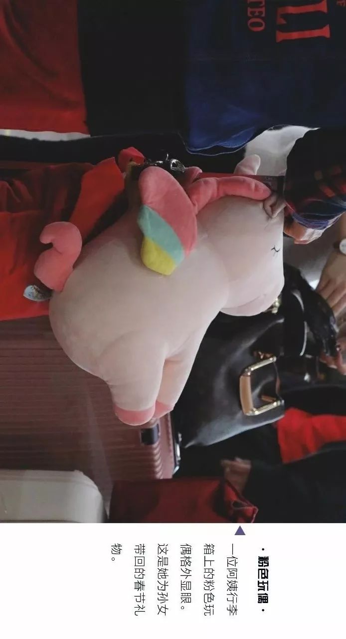 行李中的春节：我们采访了20位从广州归家的人，发现他们带了这些礼物……