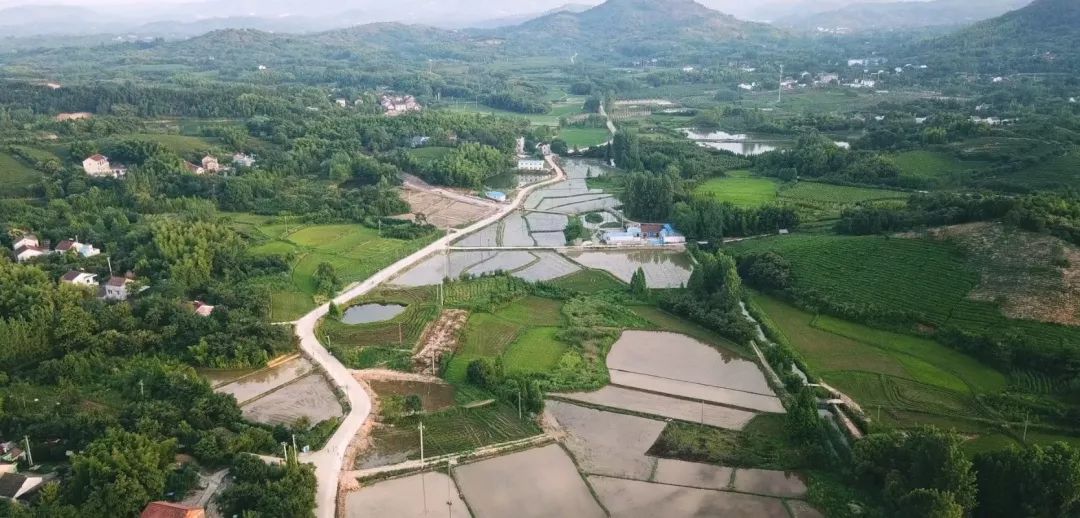 《小镇里的中国》制片人：小镇不是建造出来的它是有根生长出来的