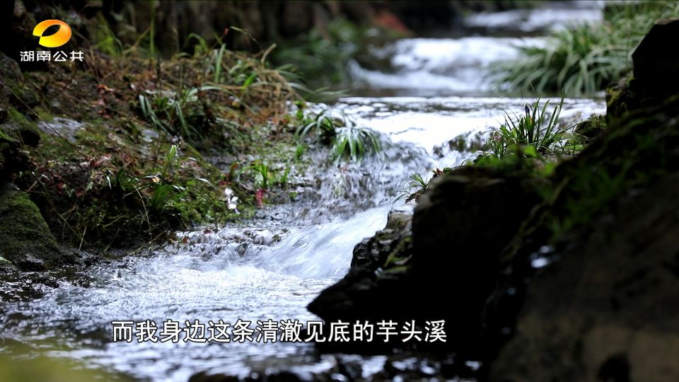 湘西芋头侗寨遗址,侗族芋头寨