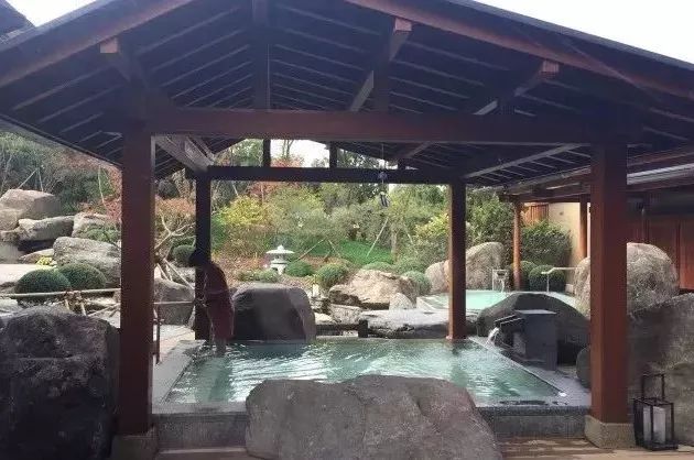 大连摘草莓一日游,大连摘草莓适合去的地方