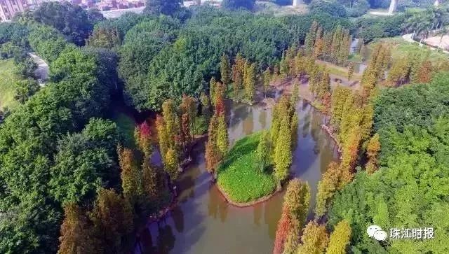 十大美丽海岛自驾游,自驾游体验摘果