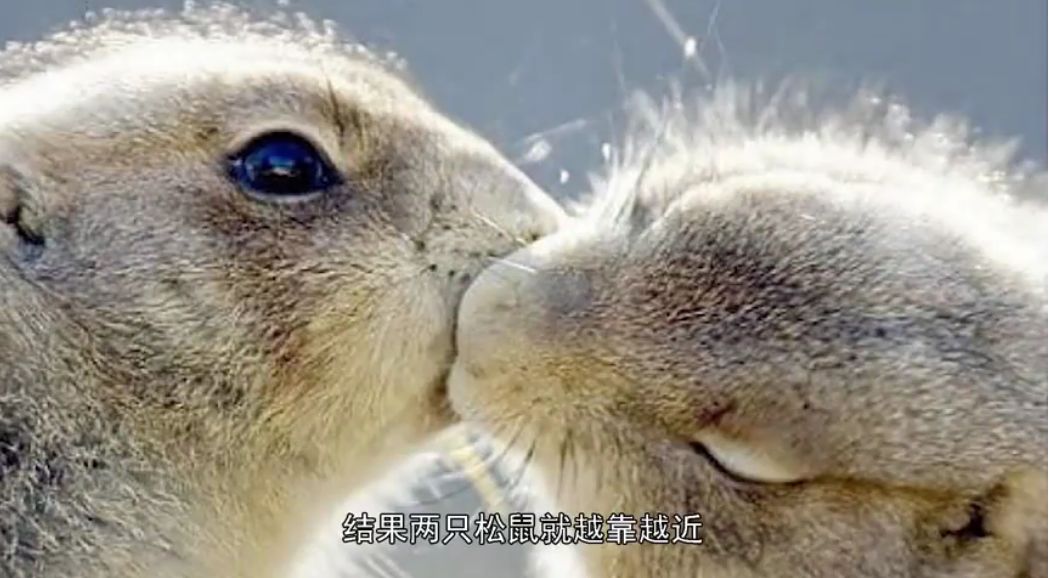 这40个冷知识据说只有1%的人知道 (古代100个绝对颠覆你认知的冷知识)