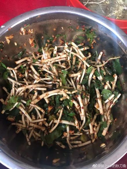 贵州的折耳根是什么味道,贵阳不吃折耳根还有什么好吃的