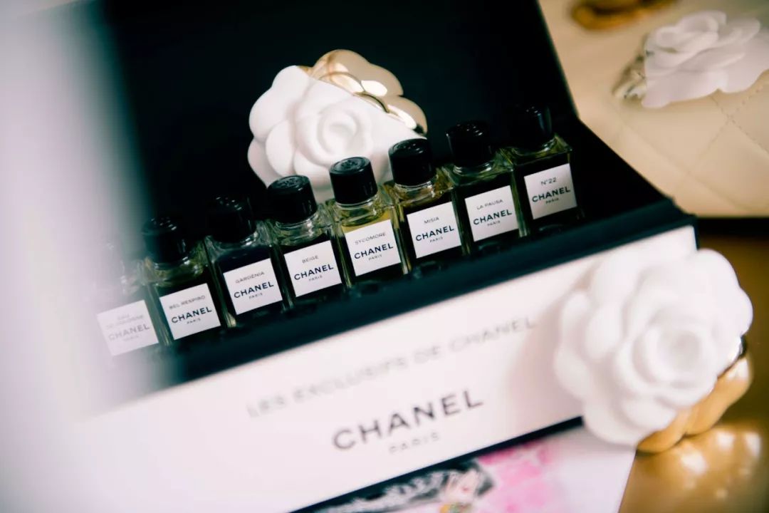 寻找香奈儿,用鼻子闻气味找对象