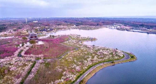 春节假期没嗨够怎么办？又一大波美轮美奂的景点等着你！乘公交直达