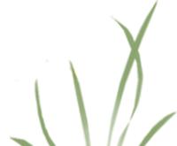 养生堂今日重播,北京卫视养生堂四步养心护心法