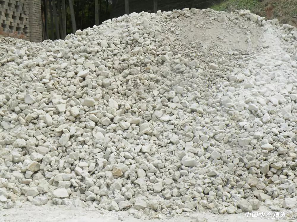 生石灰能治哪几种鱼病,鱼病了不开口怎么办