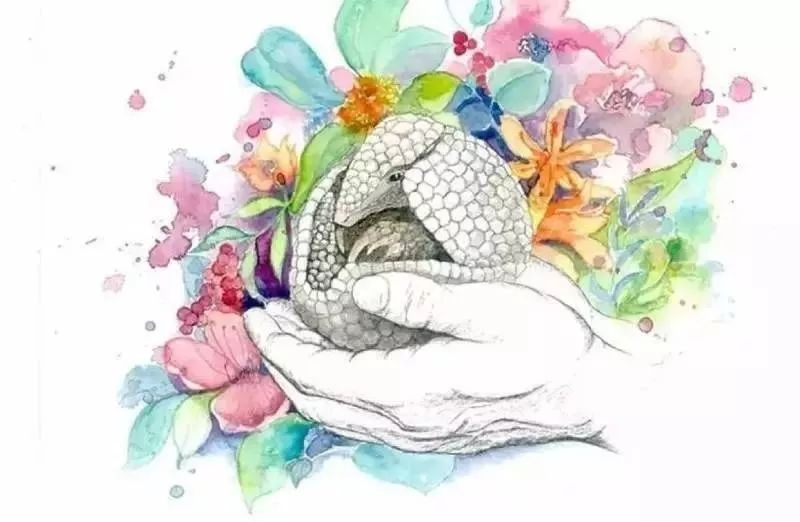 森林卫士穿山甲阅读答案,森林卫士穿山甲