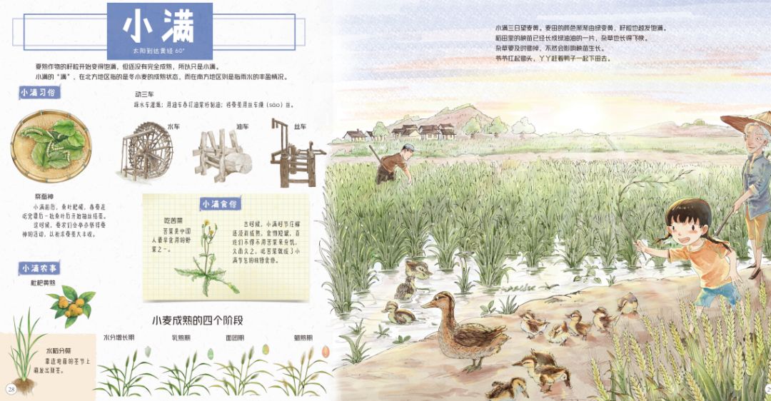 田野里的自然历史课读后感五年级,田野里的自然历史课pdf百度云