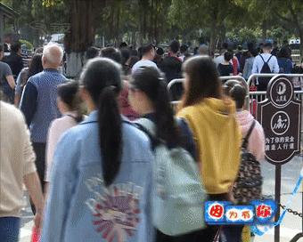 宝安区机构改革进展,深圳宝安区的机构改革方案