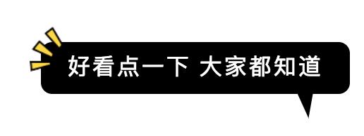 生活在这里的狗子，上辈子一定拯救过银河系｜芬兰制造Part2