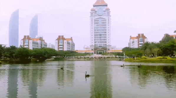 厦门旅游攻略自由行三天两夜厦门,厦门游玩的攻略5天自由行