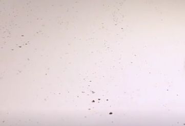 春节前为什么回南天,新年第一问