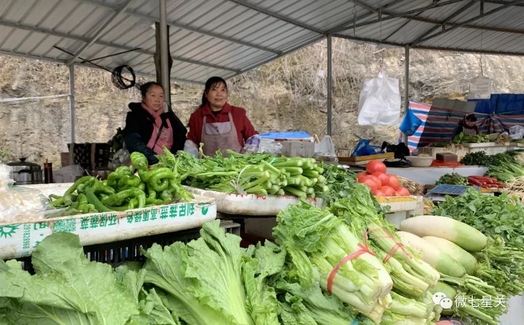 请转发给七星关的农民伯伯,这里的摊位免费!