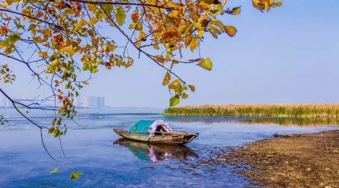 武汉地铁周边旅游景点,武汉五一出游景点推荐