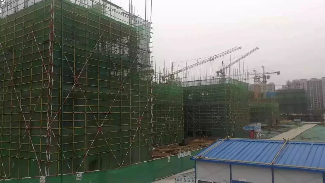 青岛市区今年增建几所学校在哪,青岛学校新进展