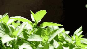 日本人发明的“随身空调”，1秒降温15℃，三伏天不流一滴汗