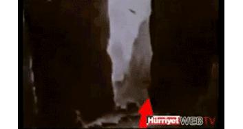 作为内蒙人，山羊这么牛的生物，竟然不了解？