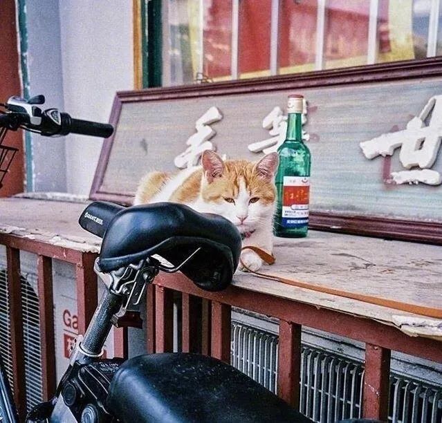 夜读身处低谷时不妨看看这8句话,夜读在人生的低谷中安然前行