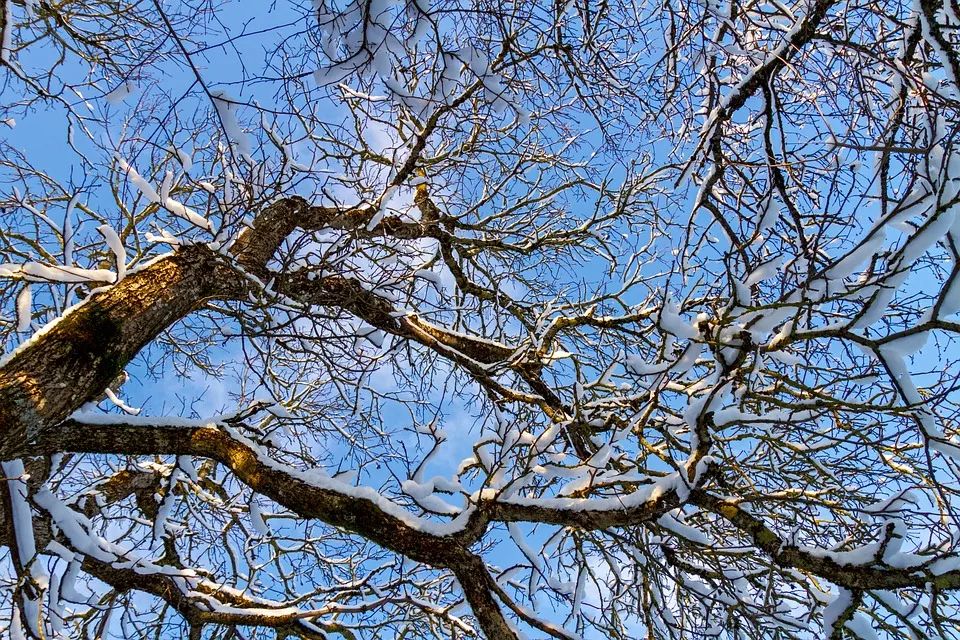 职场上被辞退时的10大征兆,职场上听到这几句话别太当真