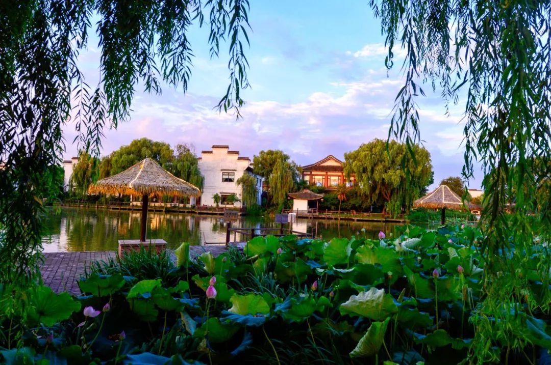 荻港古村讲解,荻港村游玩方法