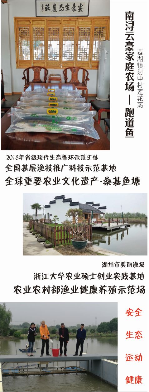 荻港古村讲解,荻港村游玩方法