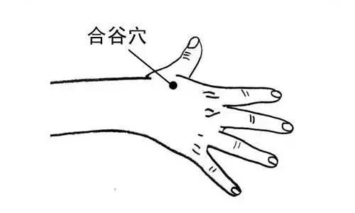 四个保健穴位,四个穴位改善睡眠