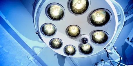 跟着女明星一起吃减脂餐,跟着女明星喝胶原蛋白