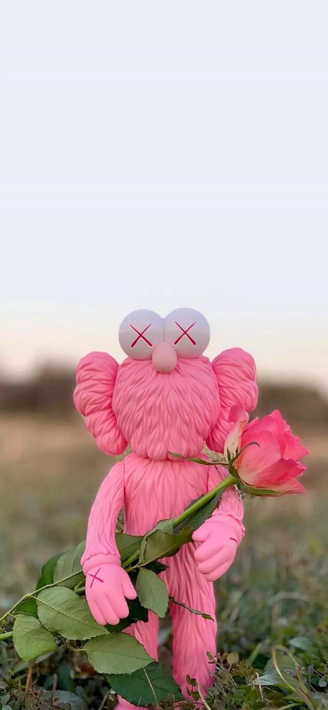 苹果xr原生壁纸图片高清,iphonexr壁纸高清大全