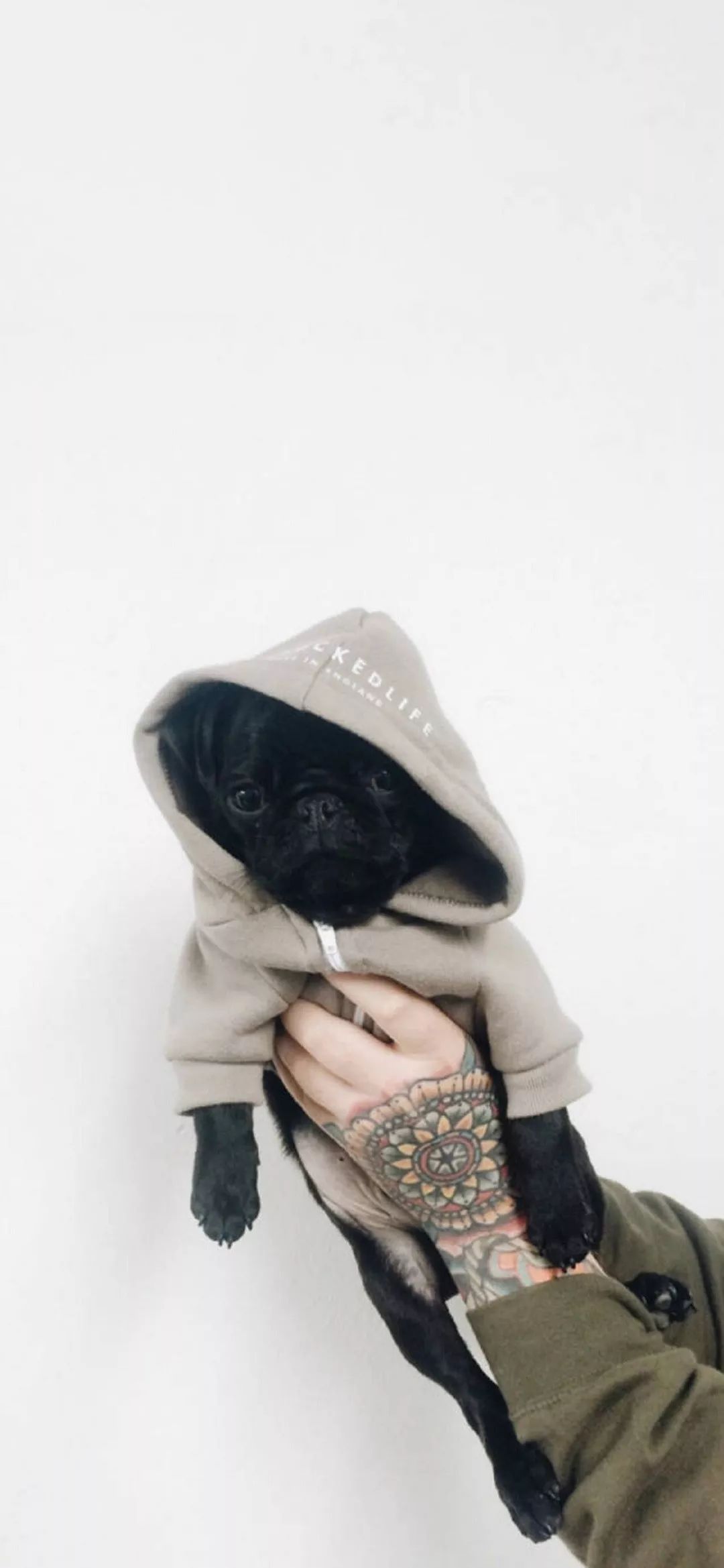 苹果xr原生壁纸图片高清,iphonexr壁纸高清大全