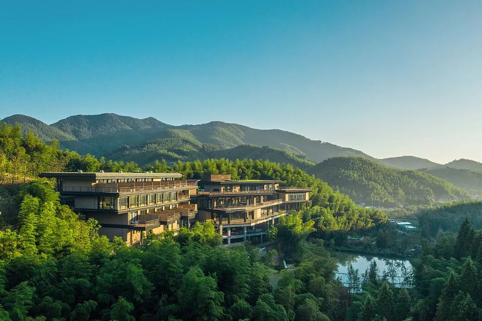 躲入小楼成一统,躲进小楼成一统的含义