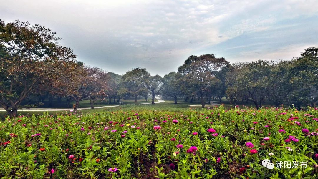 带你了解沭阳,普及沭阳知识