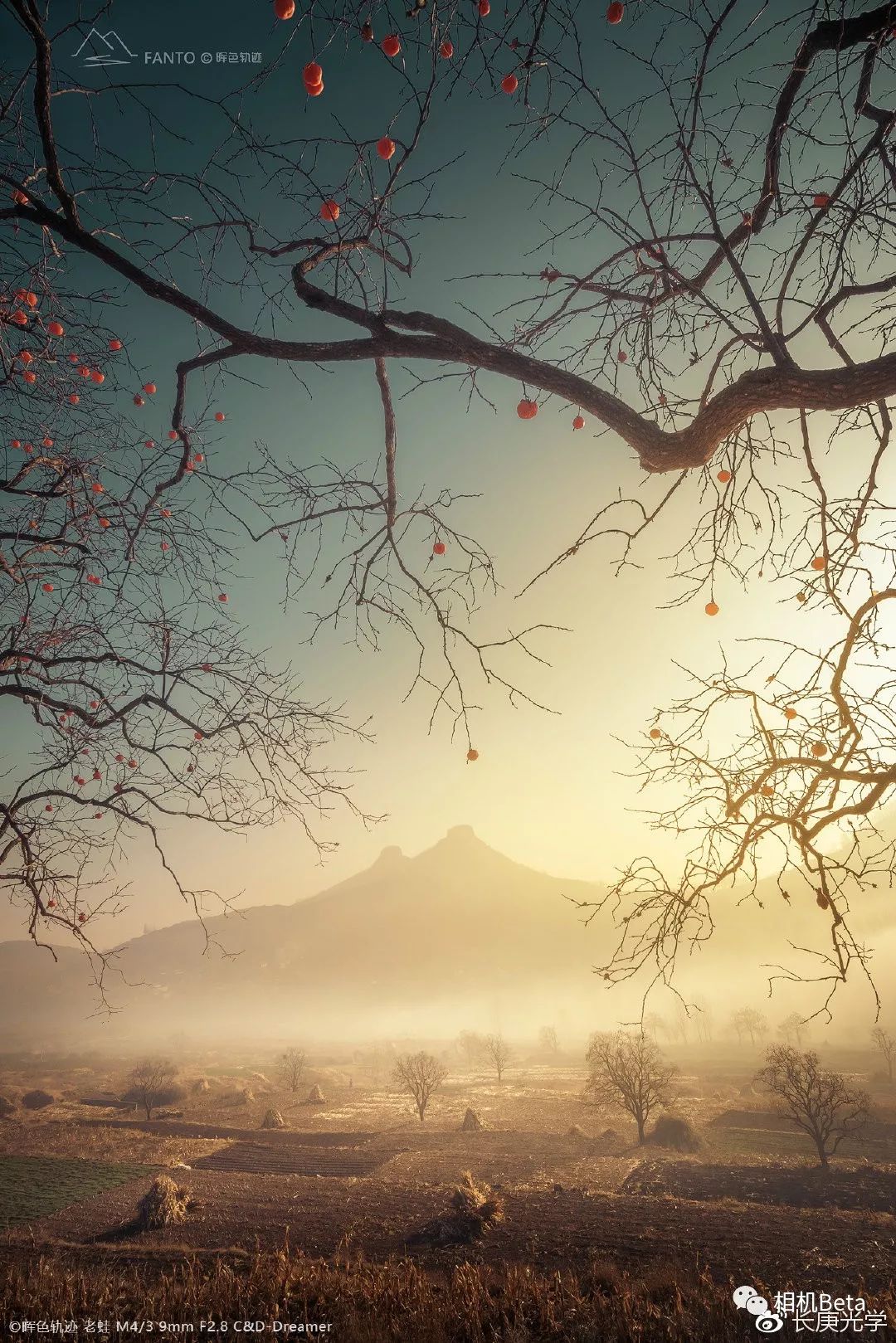 2020年上海cphi展会,上海cp展会2018