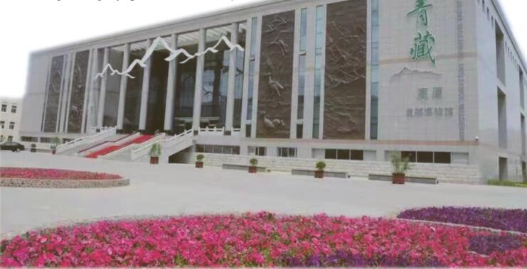 博物馆奇妙之旅免费观看,博物馆里的奇妙之旅