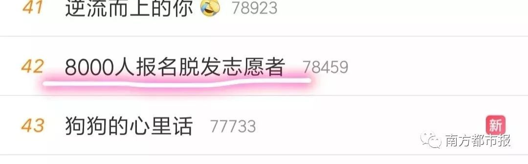 8000人报名脱发志愿者,征集100名脱发人士