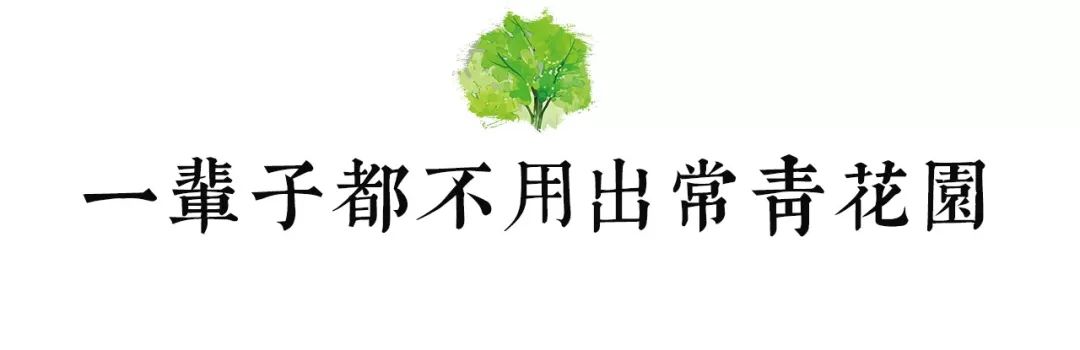 都说，出常青花园等于出了个国……
