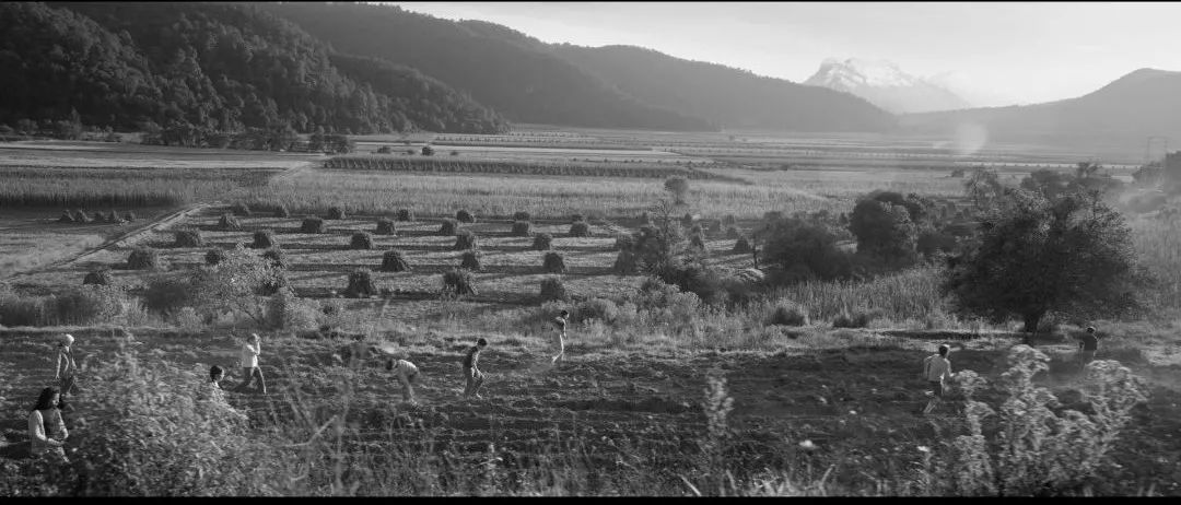 黑白摄影哪家强？回顾《罗马》《冷战》的奥斯卡之战！