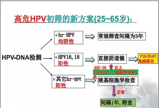 好消息免费接种hpv,hpv好消息