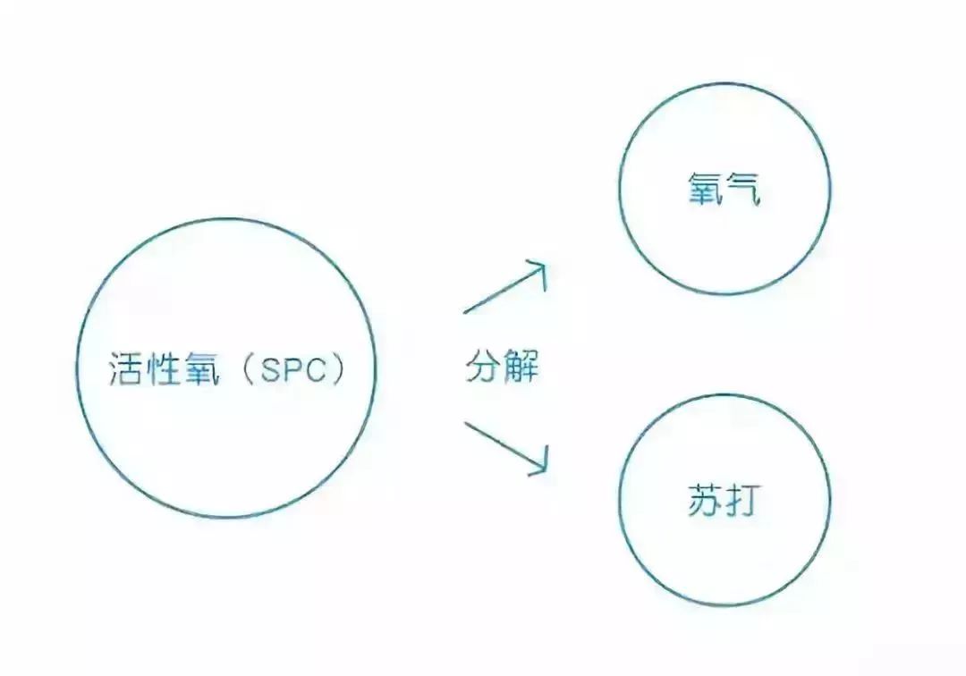 白衣脏洗不掉怎么办,衣领上的皮肤油渍用什么洗效果好