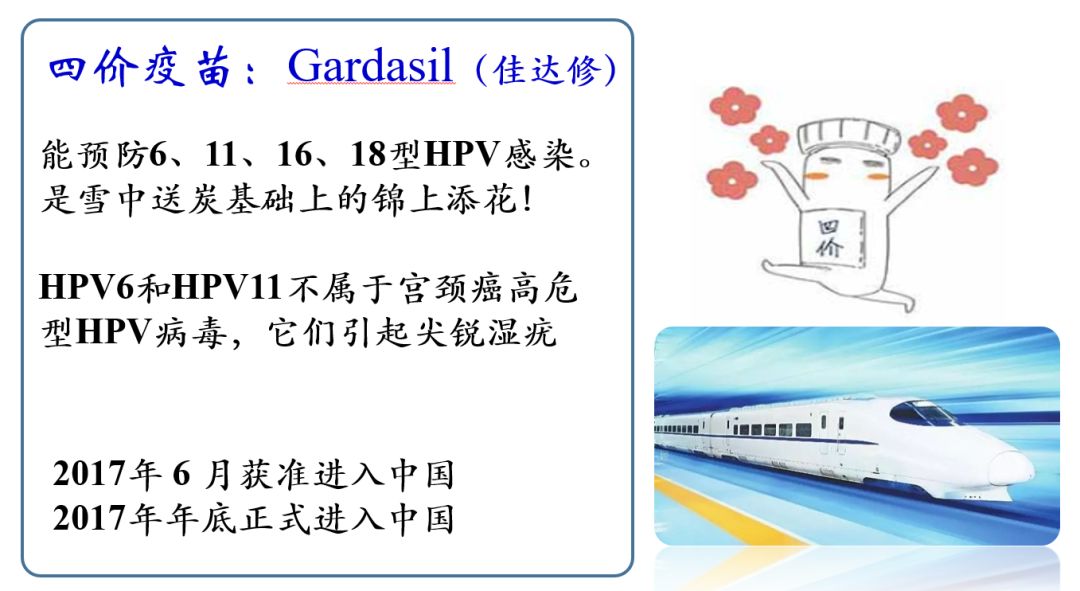 人乳头瘤病毒（HPV）的再次真情告白