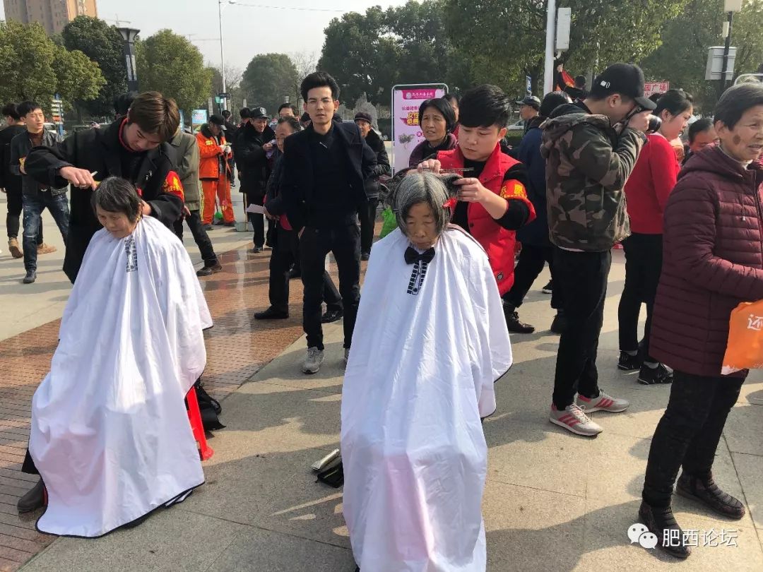 鑲ヨタ鍙ゅ焸鍏洯,鍙ゅ焸鍏洯