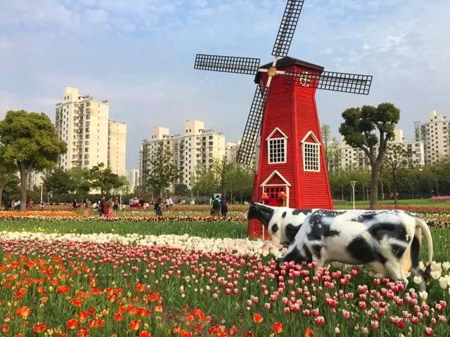 上海人春天爱吃的美食,春天上海最好吃的东西