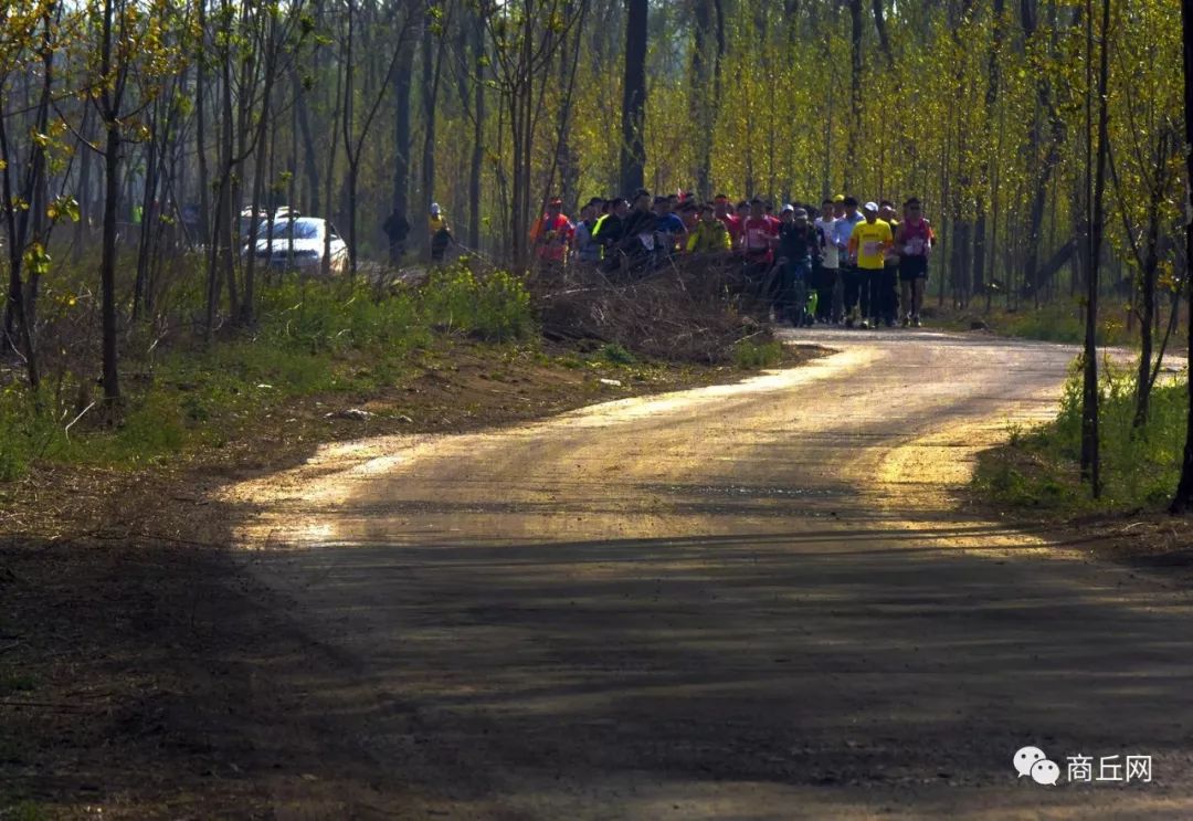 认准了！“懂菜农业”杯第七届黄河故道湿地花海徒步穿越路标已布置完成