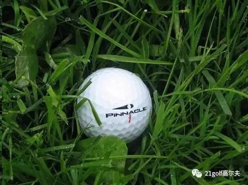 长草区教学,长草区攻略大全