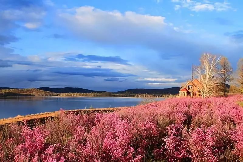 欣赏一个人始于颜值久于善良人品,美文始于颜值陷于才华忠于人品