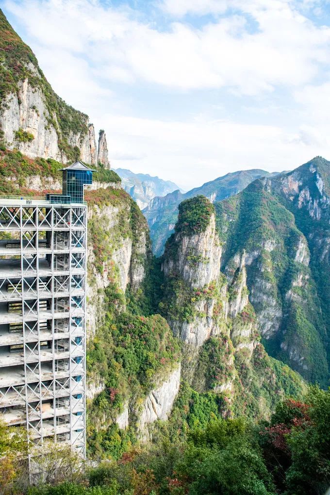 “三八”节，女神们快来领这些专属福利哦