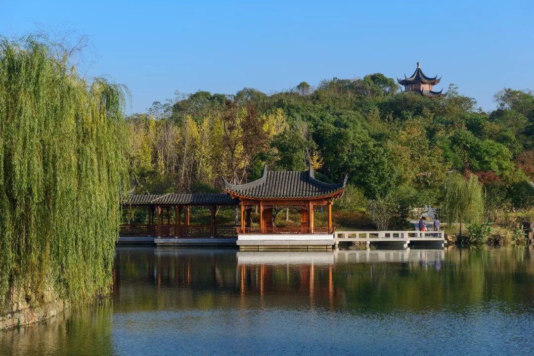 高新区体育公园规划,樱花湖体育公园效果图