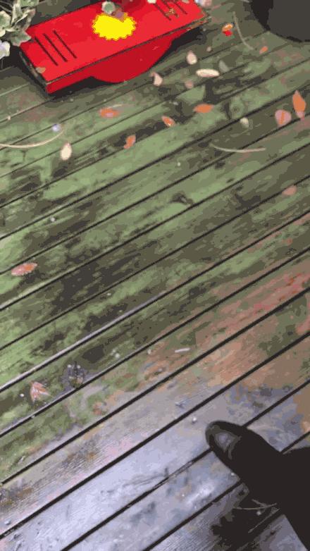 luna洁面仪选哪款,luna洁面仪用哪一款