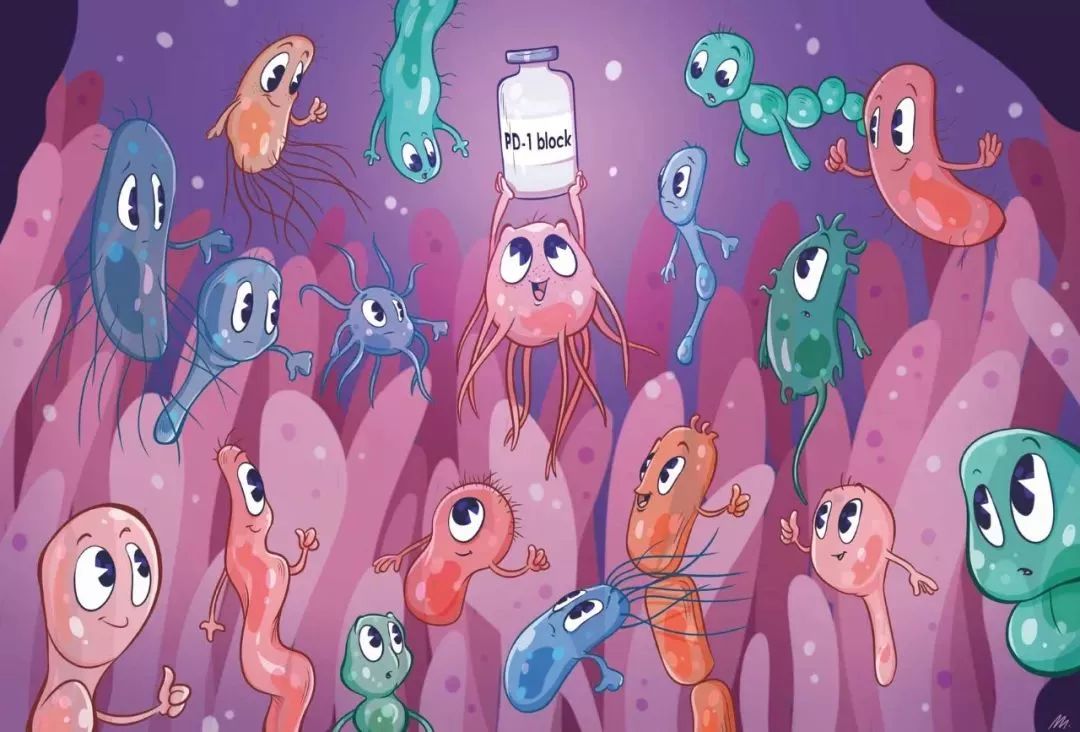 免疫治疗攻克癌症的希望,治愈癌症的新希望免疫治疗